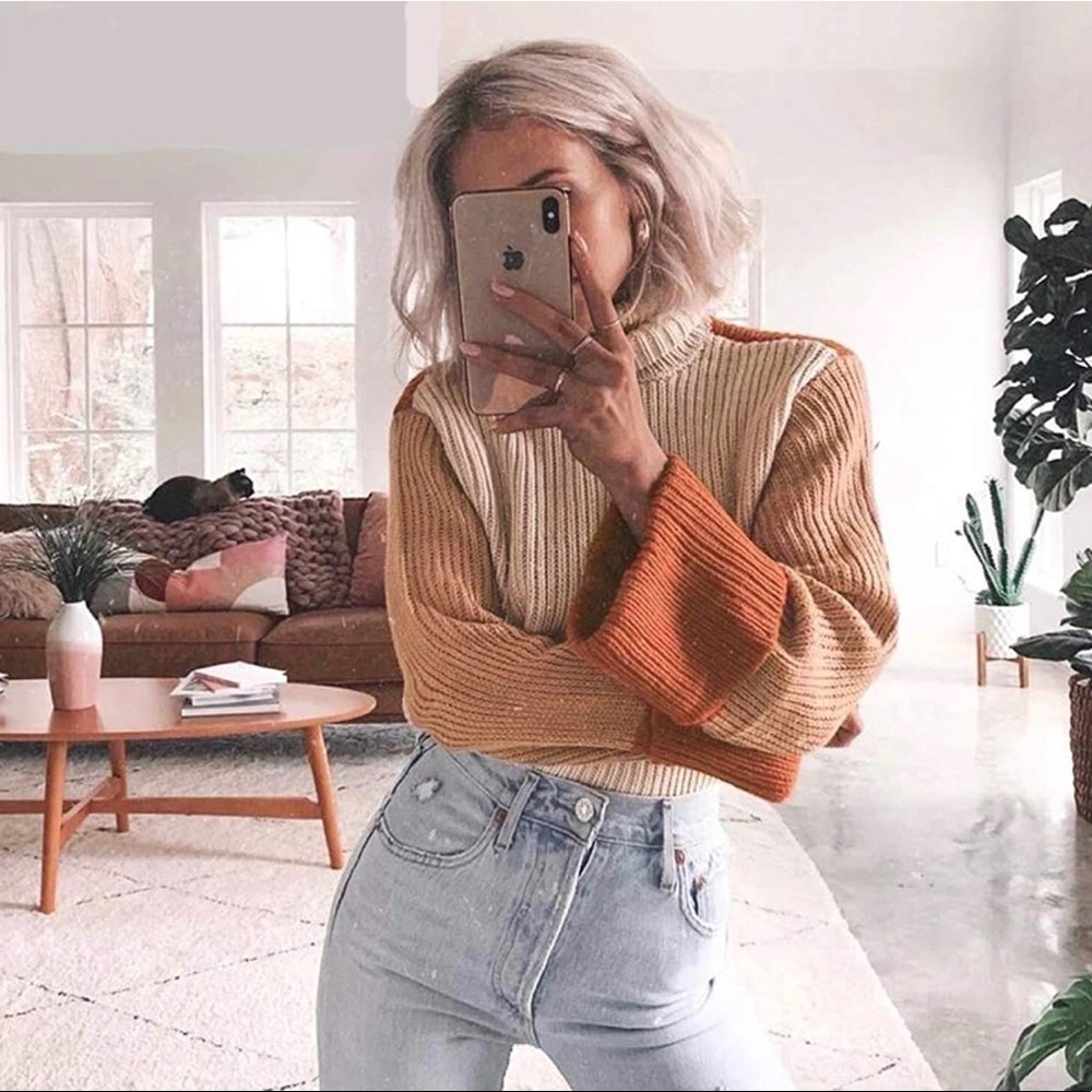 NWT Chunky Turtleneck color block sweater